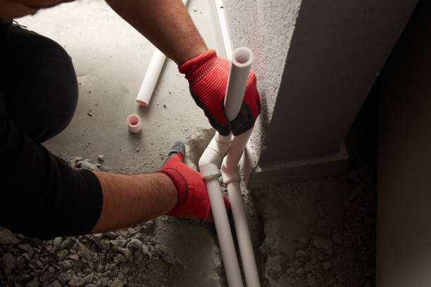 Best Commercial Plumbing Services  in Wisr, NE