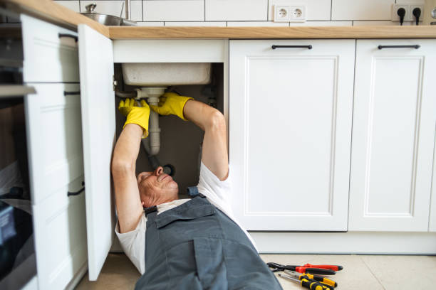 Best Plumbing Inspection Services  in Wisr, NE